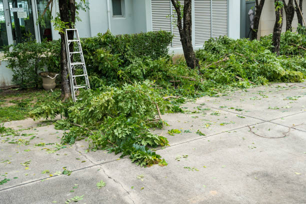 Best Commercial Tree Services  in Brooksi, DE